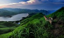 我学会了欣赏自然