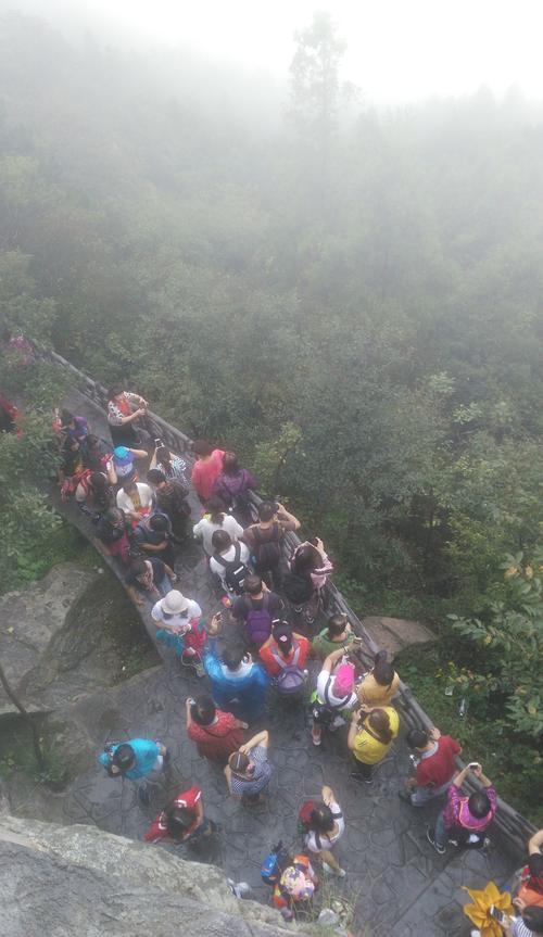 在雨中玩