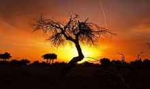 尊严不倒，生命永恒