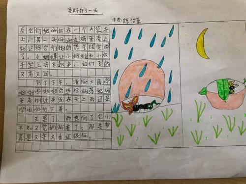 半蛋壳