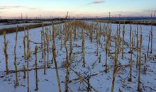 寻找丢失的文明