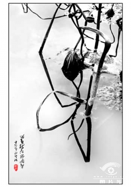 只是离开书香，听雨声