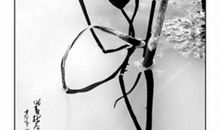 唯留书香听雨声