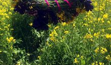 那天，如果没有遇见你