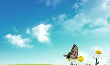 让我走远看看你