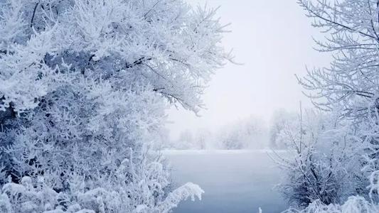 如果我是雪花