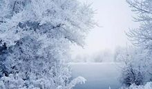 假如我是一朵雪花