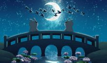 我的新朋友华昔舸