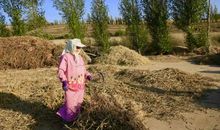 风雨中，你教会我做人