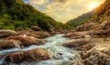 我发现了美无处不在