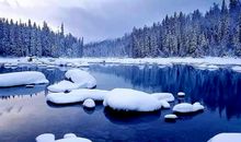 那个冬天没有安眠