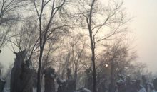 冬日黄昏时车来人往的街头