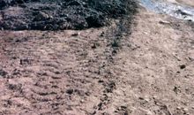 我想去周游世界