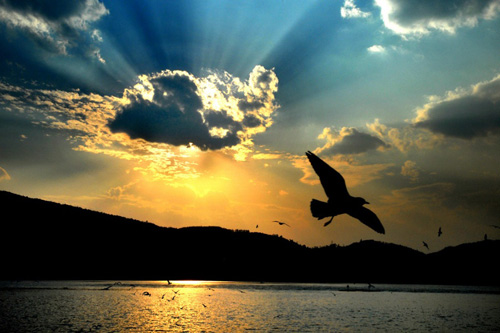 有一种使人记住的迷恋