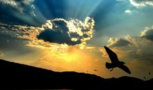 有一种执着让人铭记在心