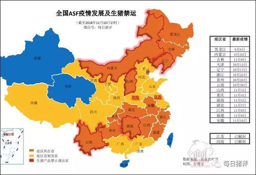 2020年不同的新年流行病