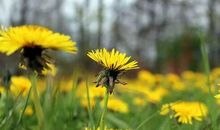 有种幸福在心间