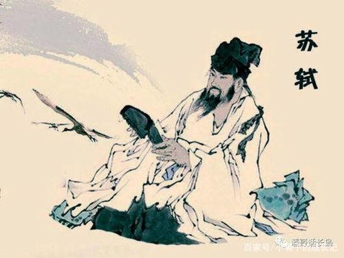 我眼中的苏Shi