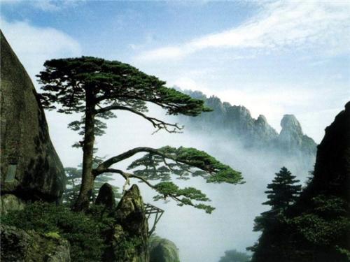 黄山风光