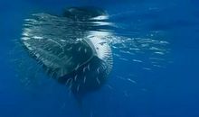 第一次在海里游泳