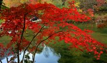 我爱这色彩斑斓的秋天