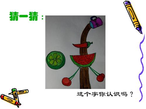 生命的五种风味瓶
