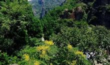 奇特的十里画廊