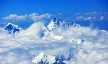 风雨中，你教会我飞越