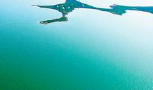 身边有湿地的幸福