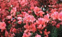 一句珍贵的话语