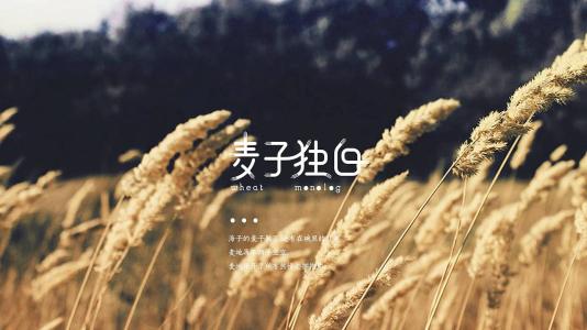 听小麦的声音
