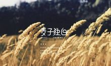 听麦子的声音