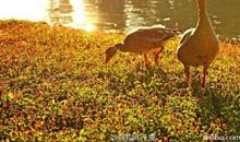 风雨中，你教会我坚强