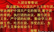 2015初二入团申请书700字