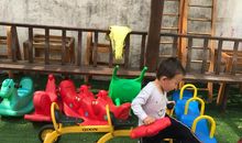 豆豆，你们在哪里