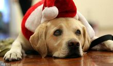 这样的人让我感到亲切