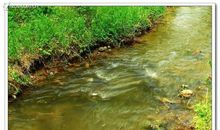 我爱家乡的小溪