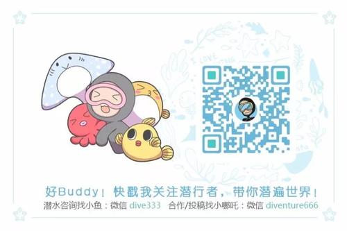 惊人的勇气世界
