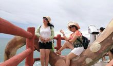 欢乐的放鸡岛之旅