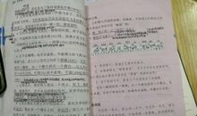 读《隔窗看雀》有感