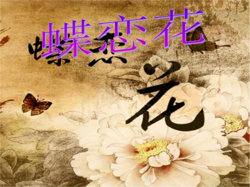 看完蝶恋花