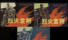 烈火金刚观后感