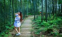 以竹喻人的作文