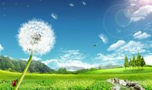 想旅行的蒲公英宝宝