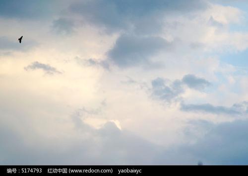 仰望广阔的天空