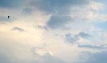 抬头便是广阔天空