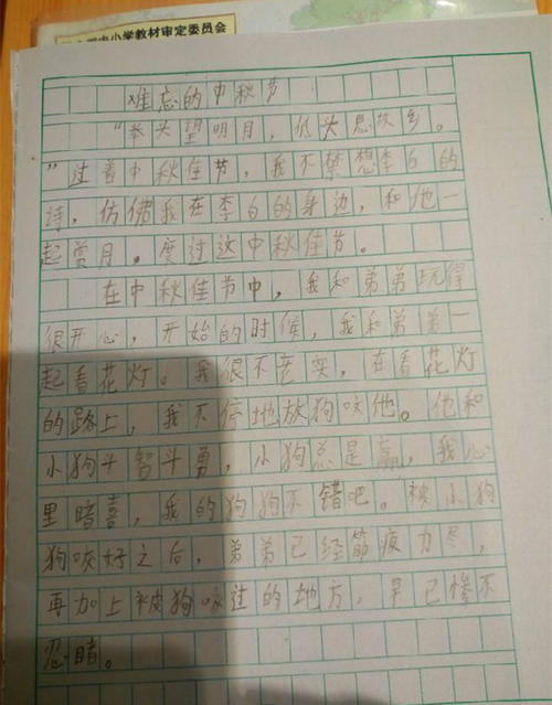 顽皮的表弟