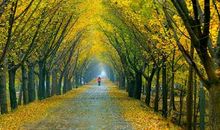 在乡村的时光里