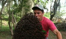 第一次观察蚂蚁