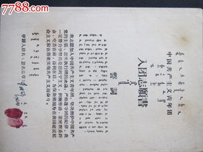 300字高中生志愿者信样本论文